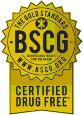 BSCGのロゴ画像